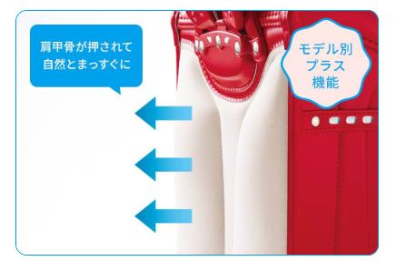 背あてのせみね