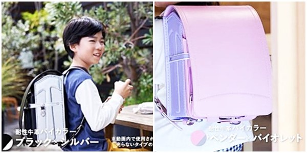 耐性牛革ばいカラーのデザイン